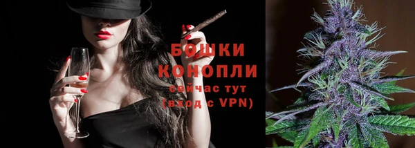 молекула духа Каменск-Шахтинский