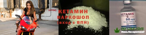 амф Каменка