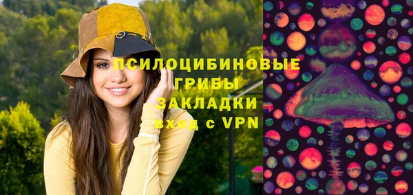 дмт Касимов