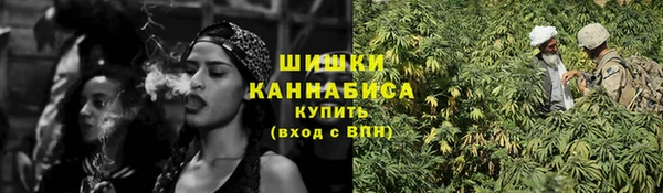 дмт Касимов