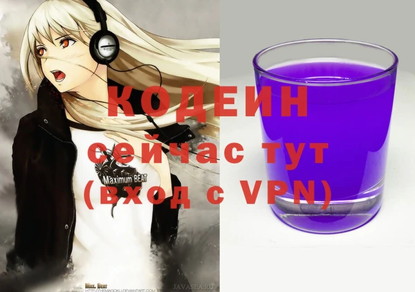 амф Каменка