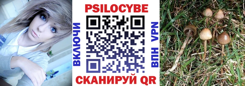 Псилоцибиновые грибы мухоморы  наркотики  Нижнеудинск 